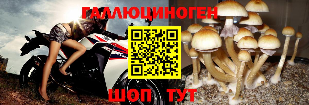 Псилоцибиновые грибы мухоморы Елабуга